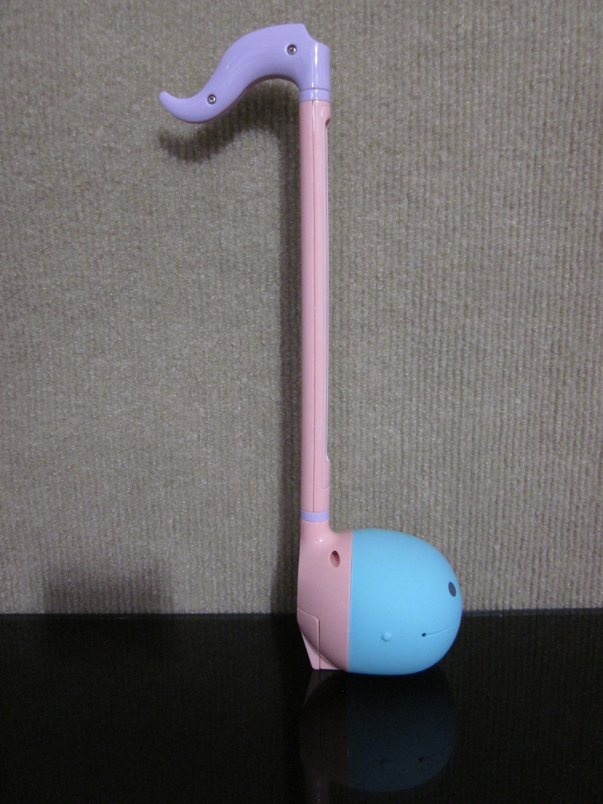 Foto 12 di 12