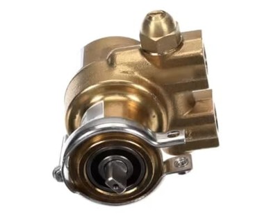 Fits Cimbali 116667-2-1 6 132A060F123B Volumetric Pump with Filter, INOX, 120