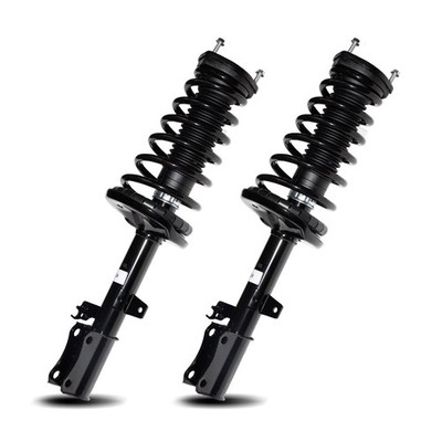 Front Pair Complete Struts Assembly 171691L 171691R