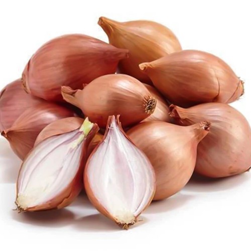 50 Long Sweet Brown Onion Seeds UK Large Elista Heirloom Exhibition Shallots - Picture 2 of 3