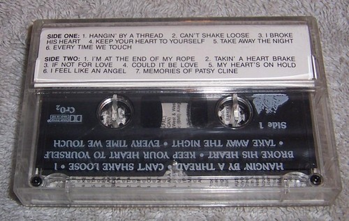 Jenny Lee West Braving the Elements Audio Cassette - Picture 3 of 3