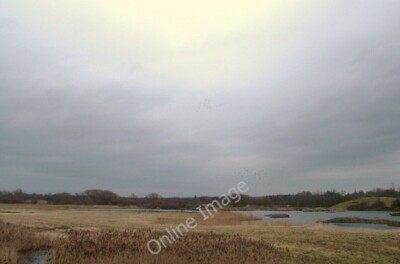 Photo 6x4 Ladywalk Nature Reserve Blyth End A great place to see wild bir c2009