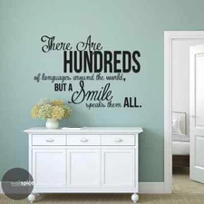 Hundreds Of Languages Around World Smile Speaks All Vinyl Wall Decal Sticker