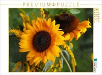 Calvendo Puzzle Sunflowers | 2000 Pieces, Finished Size 35.4 × 26.4 In (90 × 67