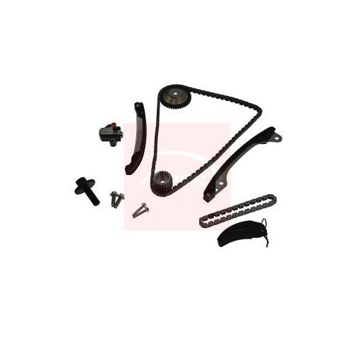 Renault Grand Scenic Iv 2016-2023 Steuerkettensatz Mit Zahnrad ACK4011-image