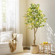 6 ft Artificial Lemon Tree Indoor, Pre Potted Faux Lemon Tree with Realistic ...