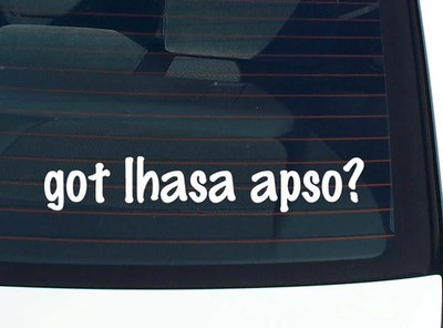 got lhasa apso? CAR DECAL BUMPER STICKER VINYL FUNNY JOKE WINDOW