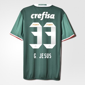 gabriel jesus palmeiras jersey