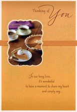 Religious THANKSGIVING Greet Card FOR FRIEND, Thinking Of You by DaySpring +✉