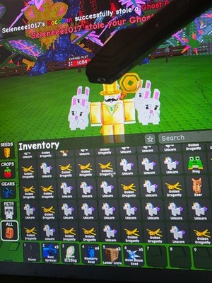 Grow a garden 2 (gag) unicorn and df (READ DESC)