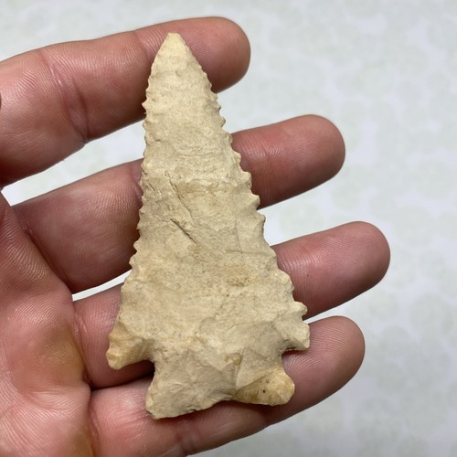 MLC s7334 RS RESTORED Archaic Serrated Pinetree Arrowhead Ky Kentucky Artifact - Picture 7 of 7