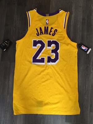 New NIKE LEBRON JAMES LOS ANGELES LAKERS NBA JERSEY $200 SIZE 44 M