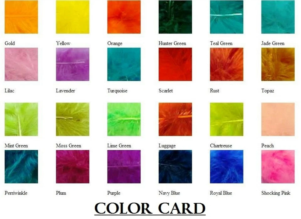 VENTILADOR Pluma Avestruz Grande 50" x 30" para Baile Burlesco/Disfraz/Halloween/Espectáculo Foto 4 de 4