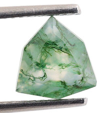 Natural Garden Moss Agate Trillion 8X8 mm Faceted Cut Healing Gemstone 1.70 Ct.