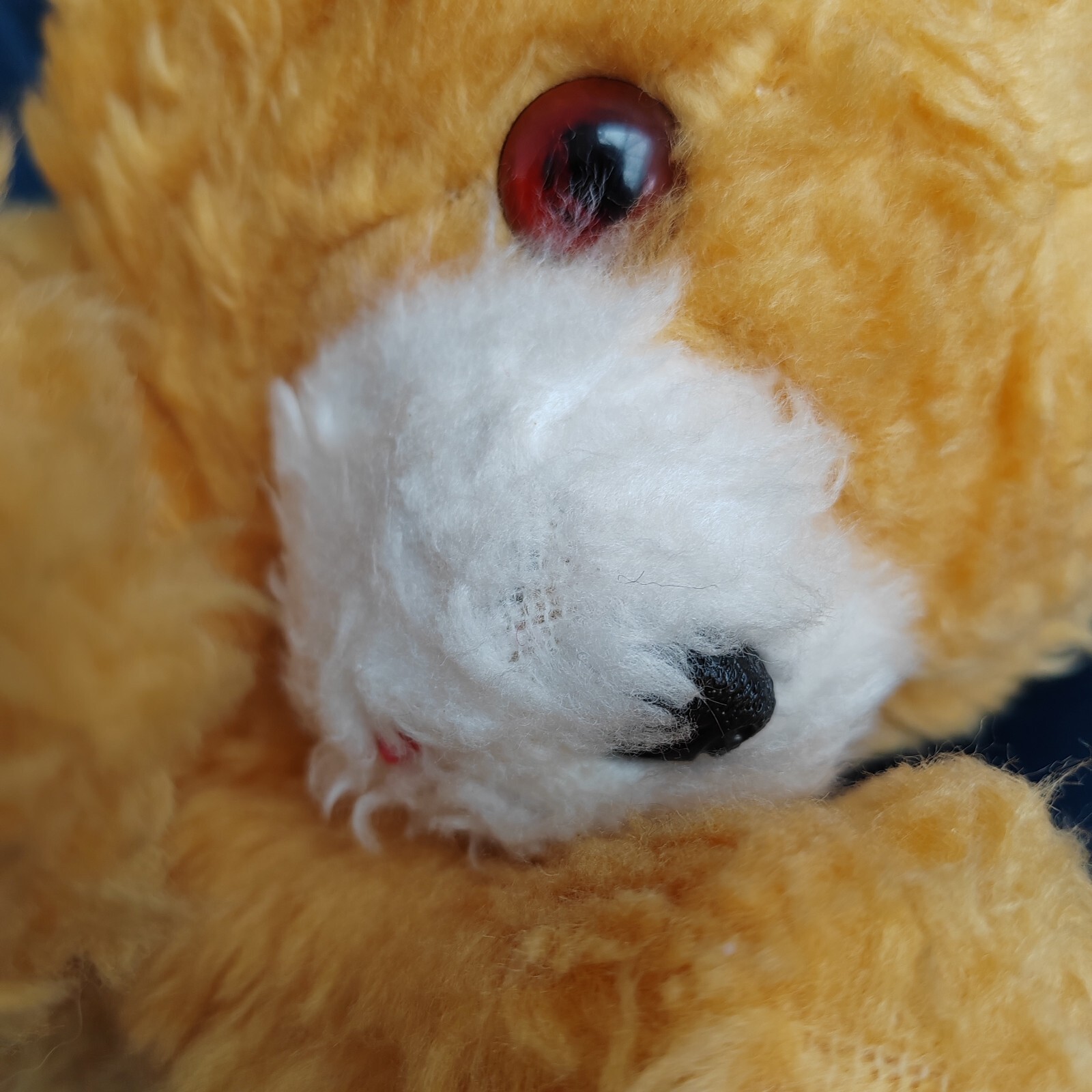 Bild 4 von 8
