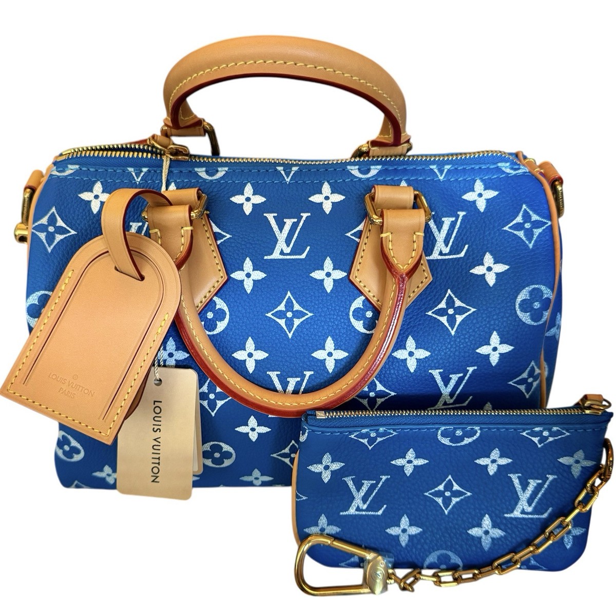 NEW RUNWAY PIECE! LOUIS VUITTON Speedy 25 P9 Bandouliere