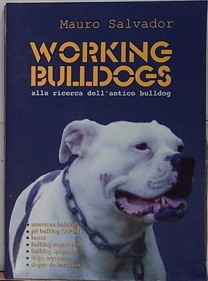 Salvador WORKING BULLDOGS AUF DER SUCHE NACH DER'ALTEN BULLDOGGE