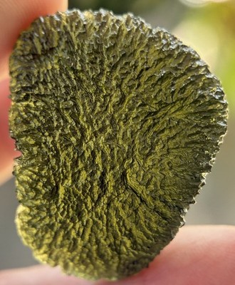 Moldavite 11.56G Tektite Nesmen Les Czech Republic Museum Quality Texture AAA++ 