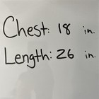 Foto 12 di 12