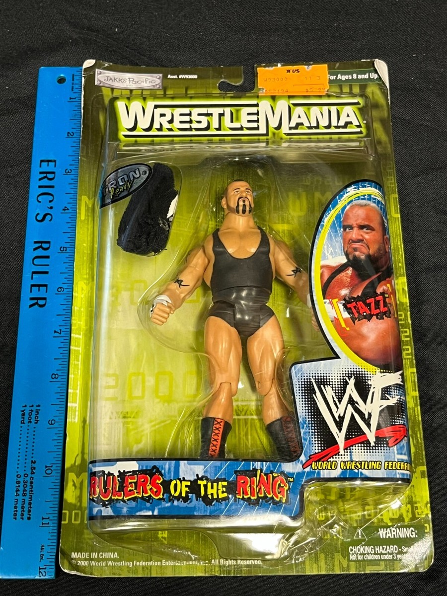 ジャックスパシフィック社製WWEフィギュア WWE フィギュア TTLシリーズ6 ジェフ・ハーディー WWF