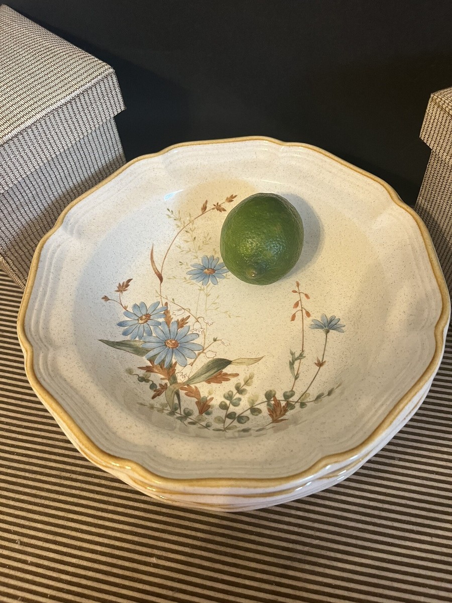  NIGHT AND DAY ボウル Mikasa Blue Daisies EB804 Cereal Bowl - 8 1/2