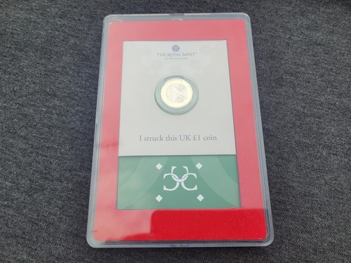 2024 £1 British Bees Strike your own Coin Royal Mint Experience in sealed case
