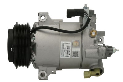 Klimakompressor DELPHI CS20570