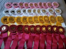 2nd - 5th Flowing Mane Horse Show Ribbons Awards Equestrian Events