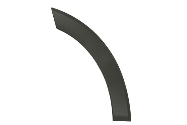 Left Front BLIC 6601-02-2518423P Trim/Protection Strip, door for FORD