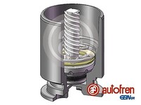 Autofren Seinsa D025777LK Kolben Bremssattel Ø 38Mm Hinten FüR X-TYPE I Kangoo