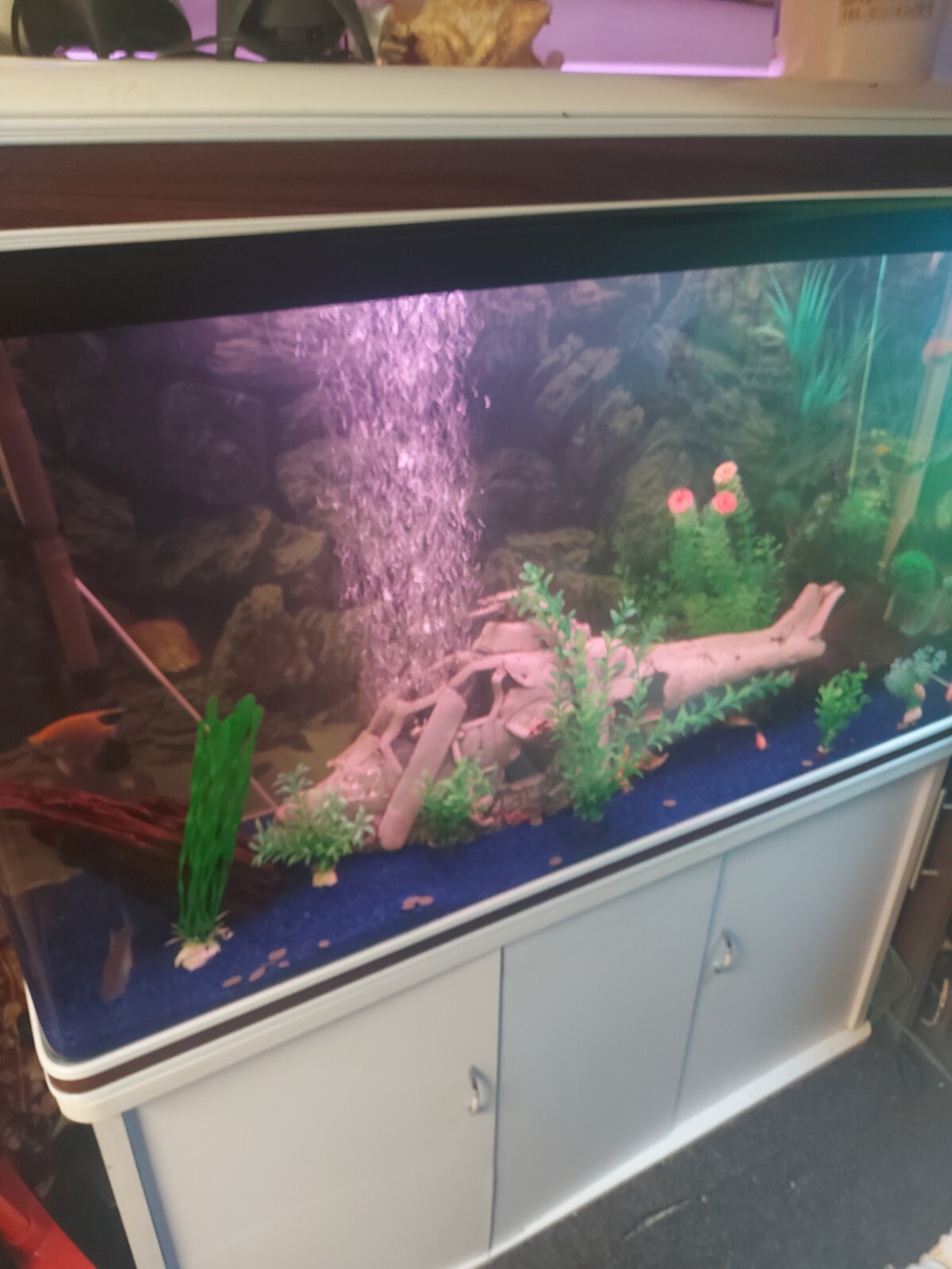 fish tank eBay