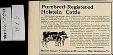 1913 Purebred Registered Holstein Cattle Livestock Vintage Print Ad 5584