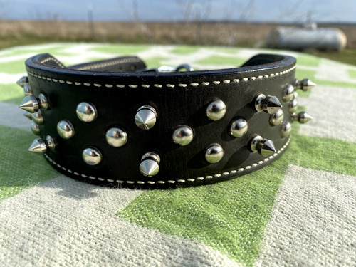 Black Leather Dog Collar w/Spikes & Studs XL  17" - 21" Neck