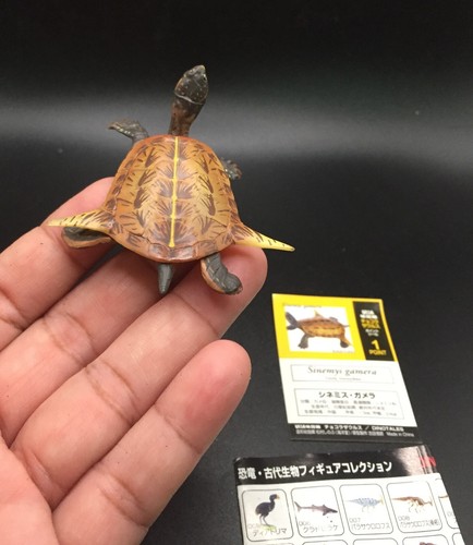 Kaiyodo UHA Dinotales Sinemys gamera Turtle Dinosaur mini Figure japan import - 第 8/10 張圖片