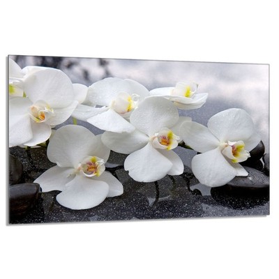 Glasschutzplatte für den Herd 80x52 Orchidea