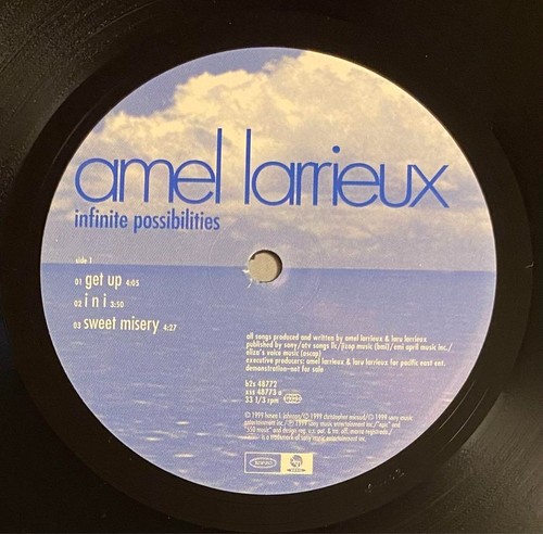 AMEL LARRIEUX INFINITE POSSIBILITIES 2LP Vinyl 1999 US Original EPIC B2S 48772 - Picture 3 of 4
