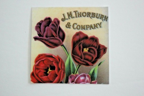 12 Vintage Bright Flower Seed Packets Refrigerator Magnets Set of One Dozen - Picture 10 of 12
