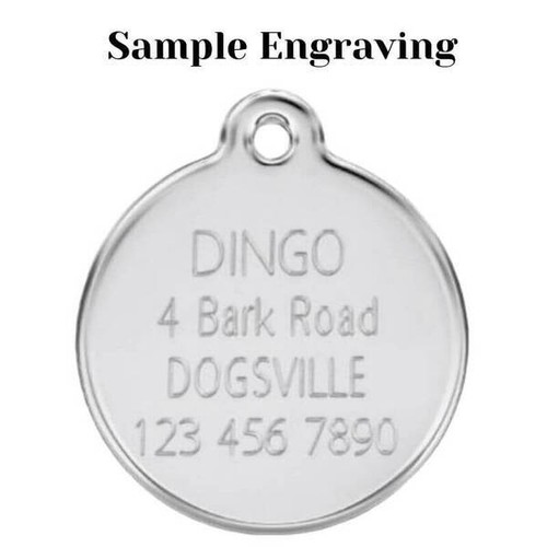 Red Dingo Enamel Fish Bowl Tag - Purple - Lifetime Guarantee - Cat, Dog, Pet ID - Picture 3 of 5