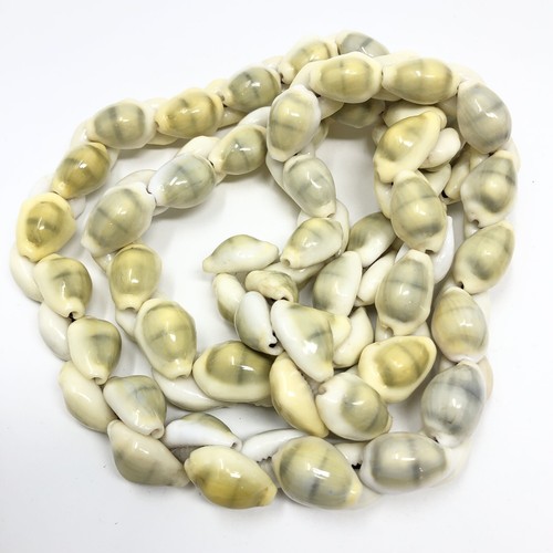 Hawaiian Striped Money Cowrie Shells Hand-Crafted Vintage 38" Lei Necklace - Picture 6 of 6