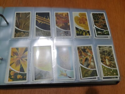 brooke bond tea cards full set Small Wonders (3)