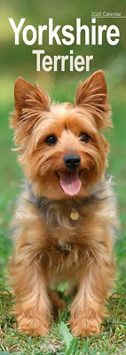 AVONSIDE PUBLISHING LTD Yorkshire Terrier Slim 2026 Calendar | Dog Breed Gift 20% OFF MULTI ORDERS