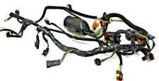 Evinrude E-tec/Etec Engine Wiring Harness Assy 0586863  '04-07  40-60hp