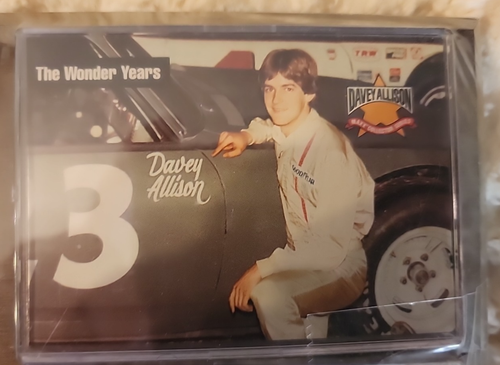 Davey Allison #23 Erinnerungen Plakette 6" x 8" The Wonder Years - The Allison Gang - Bild 3 von 5