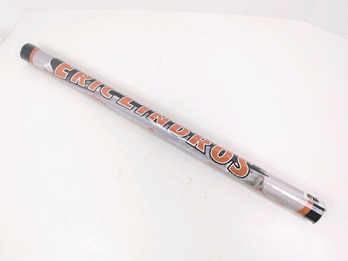 Eric Lindros THE BIG E Philadelphia Flyers 1995 NHL Hockey 22x34 Action Poster - Picture 23 of 24