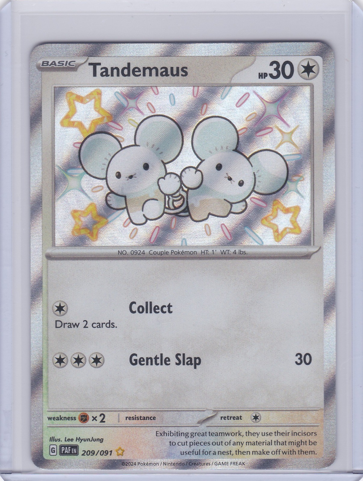 Tandemaus Holo Shiny Rare SV: Paldean Fates 209/091 NM