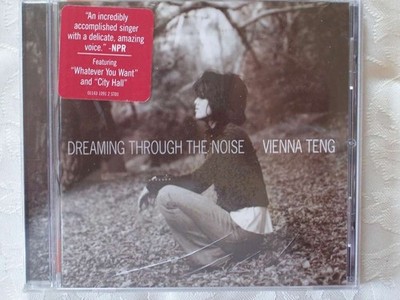 Dreaming Through the Noise, Vienna Teng, New