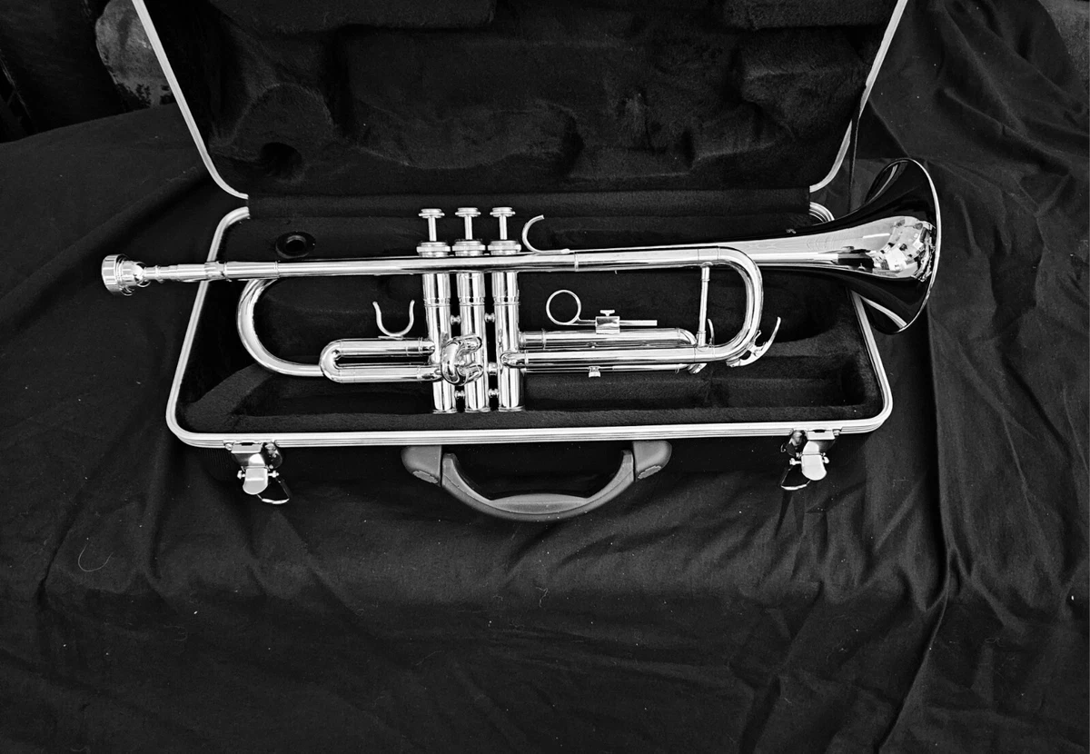 Ebay trumpets on sale