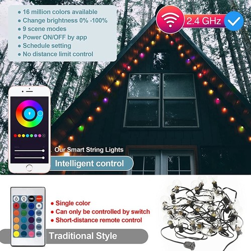 iMagic Outdoor String Light Compatible Alexa/Google Assistant App Control 2.4GHz - Picture 2 of 12