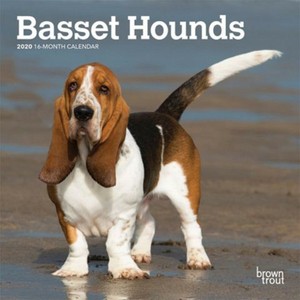 basset x