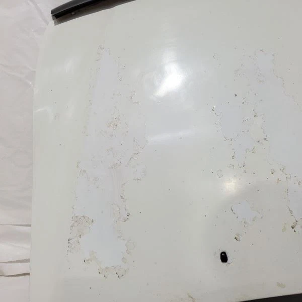 Hood OEM 2001 2002 2003 2004 2005 2006 Mitsubishi Montero  - Image 4 of 4